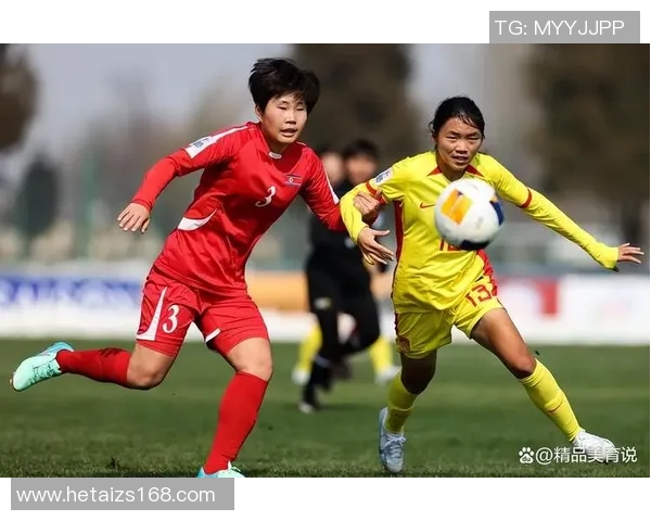 女主播与足球明星的浪漫邂逅在绿茵场上的激情与梦想交织的故事